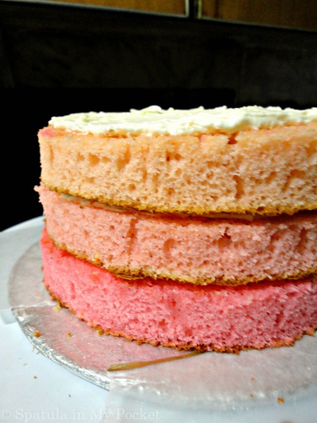 first attempt wedding cake