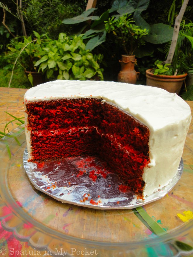 Red Velvet Cake with Whipped Cream Cheese Frosting! Soft and moist; sweet with a hint of tanginess.