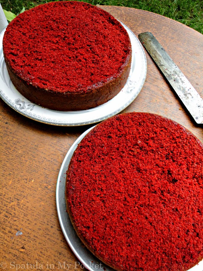 Red Velvet Cake with Whipped Cream Cheese Frosting! Soft and moist; sweet with a hint of tanginess.