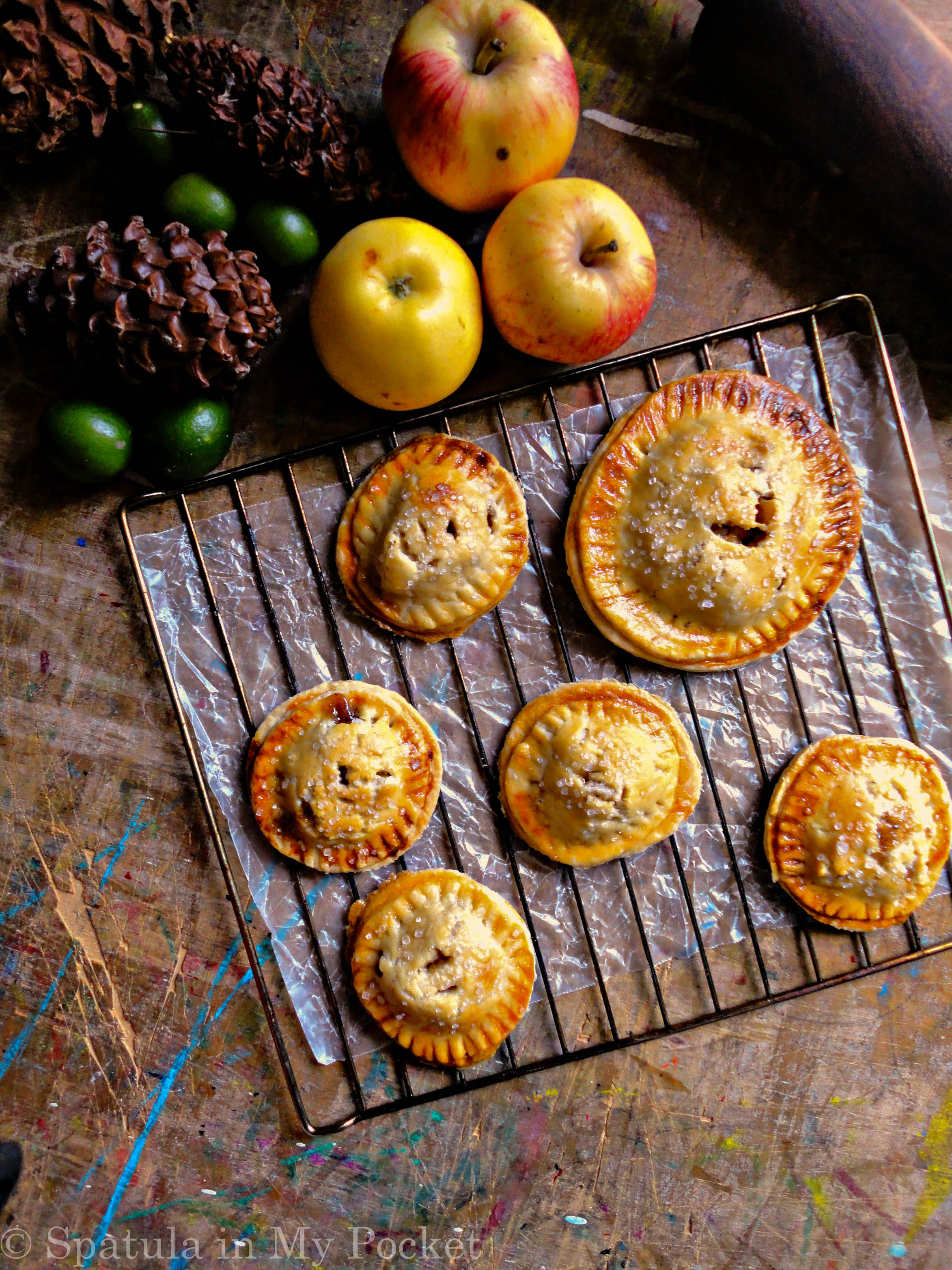The flaky buttery crust filled with a cinnamon scented apple filling should definitely be on your to-bake list this winter!