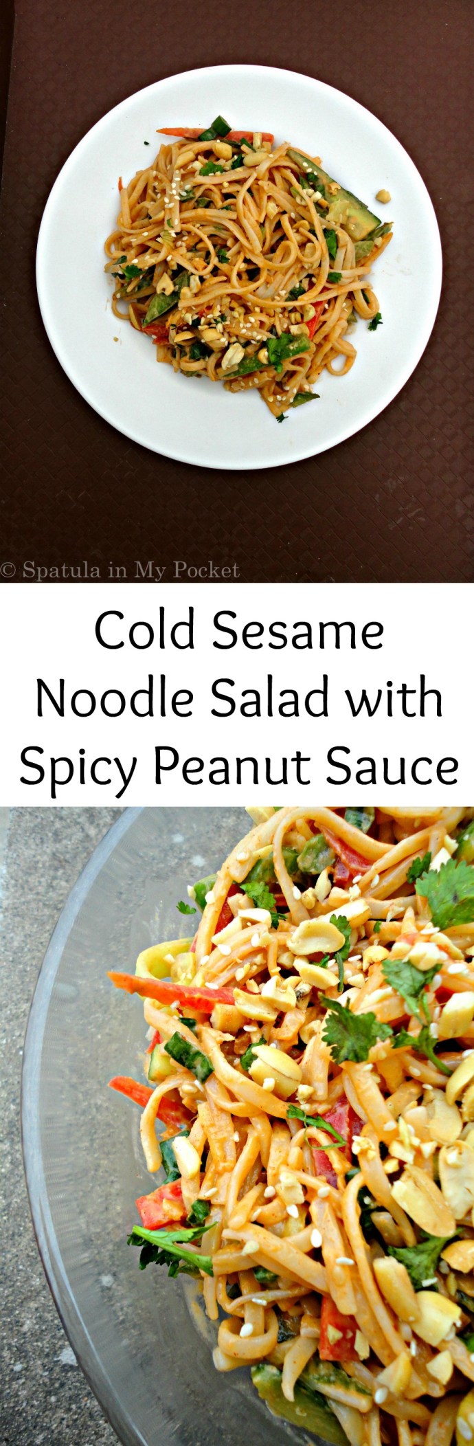 Cold Sesame Noodle Salad with Spicy Peanut Sauce. A simple clean recipe, but big on flavors.