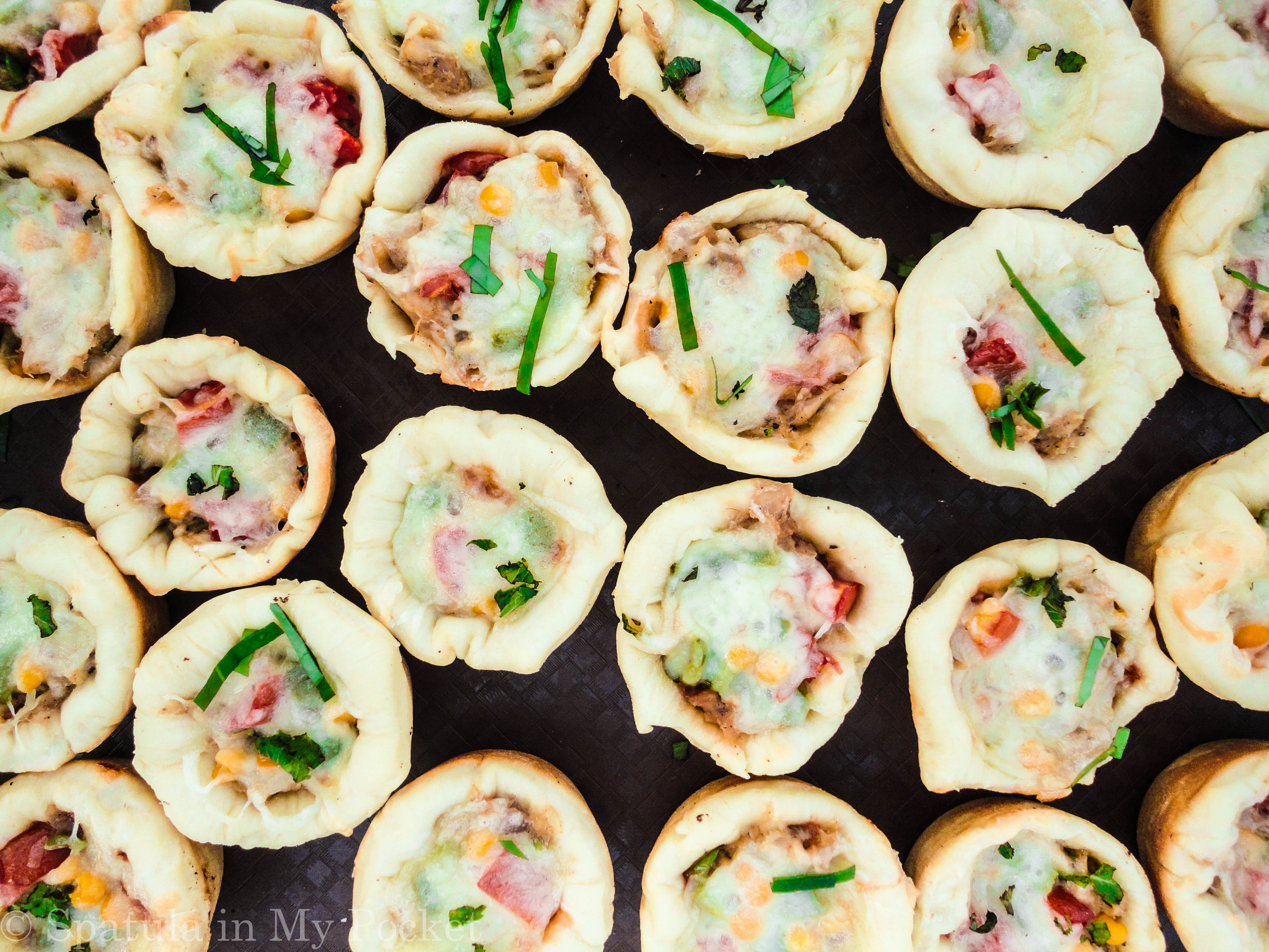 Mini Pizza Pies. The perfect snack idea!