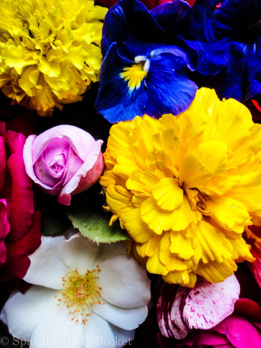 3 layers of rich moist chocolate cake, sandwiched with a dreamy creamy chocolate fudge frosting, and topped with drizzles of smooth lush chocolate ganache.