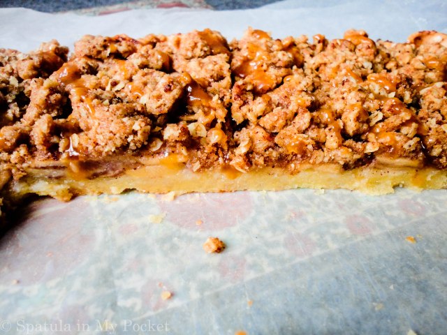 Shortbread crust. Cinnamon apples. Crumb topping. Salted caramel.  Apple pie bars...The perfect fall dessert!