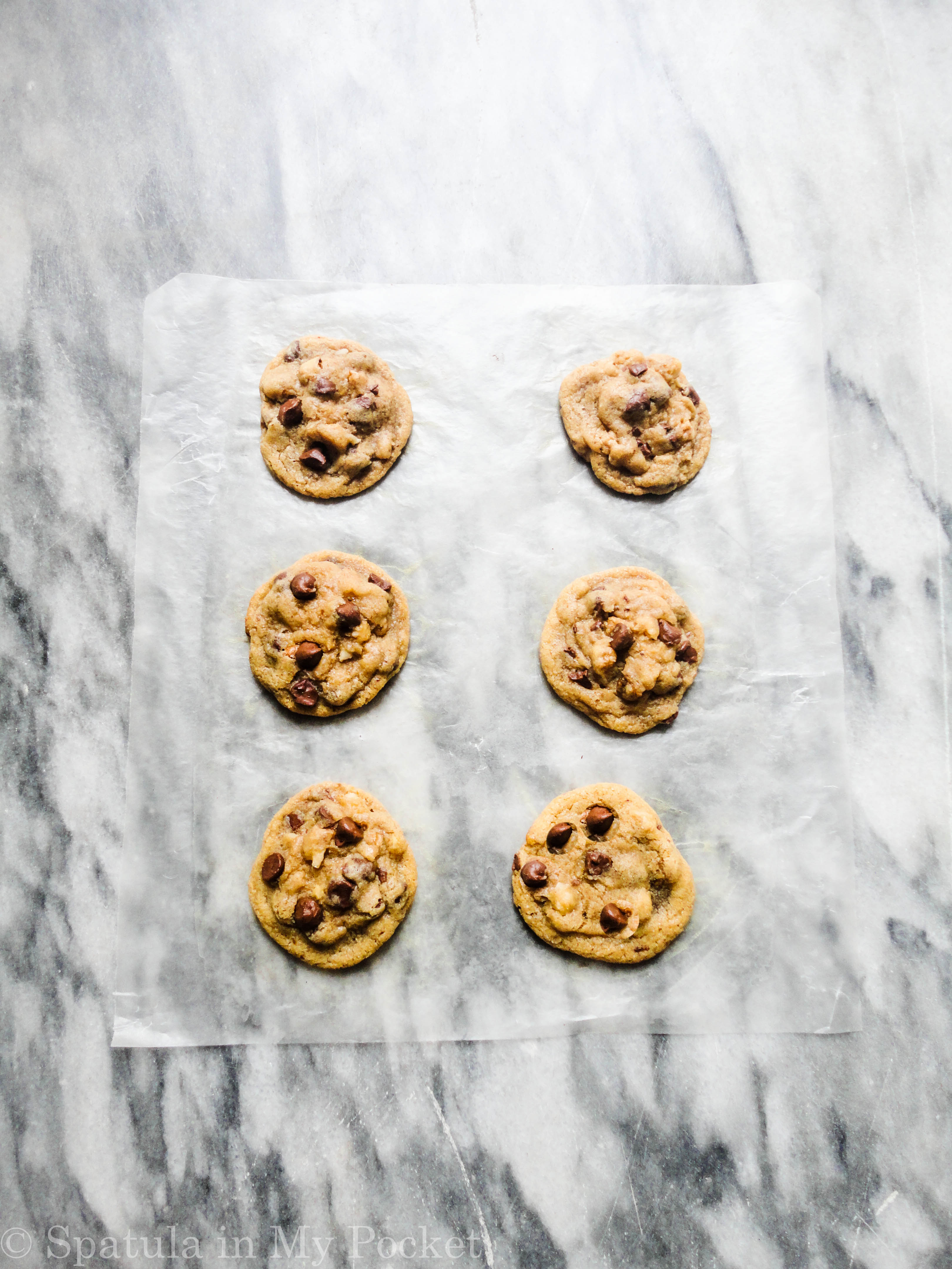 Six perfect chocolate chip cookies. Crispy on the outside, chewy on the inside. Loaded with chocolate and walnuts. #smallbatch #chocolatechipcookies #cookies